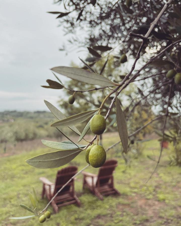 La Falconara Montepulciano Stazione Exterior foto